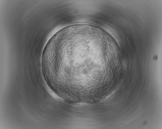 X0000097641482200803142035