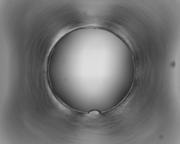 X0000097641483200803142035