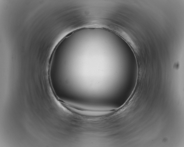 X0000097641484200803142035