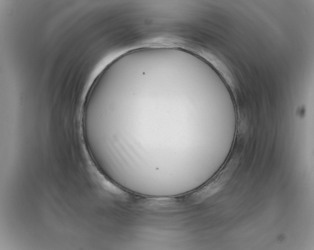 X0000097641486200803142035