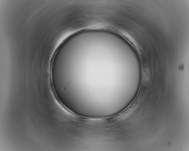 X0000097641487200803142035