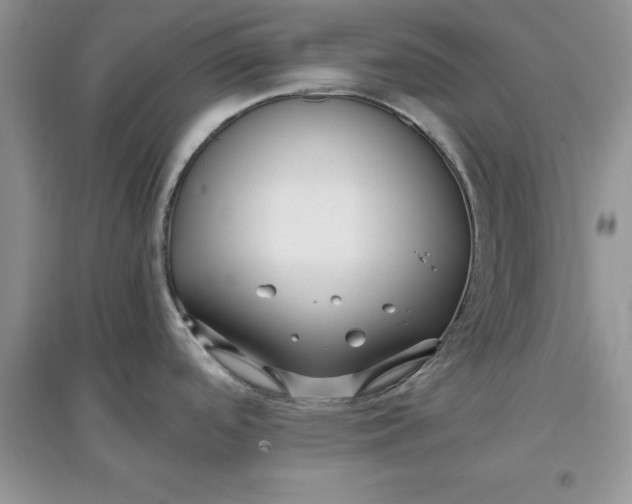 X0000097641488200803142035