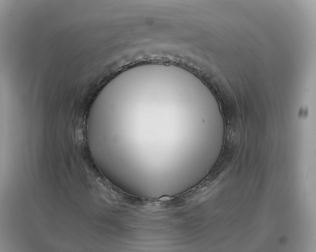 X0000097641490200803142034