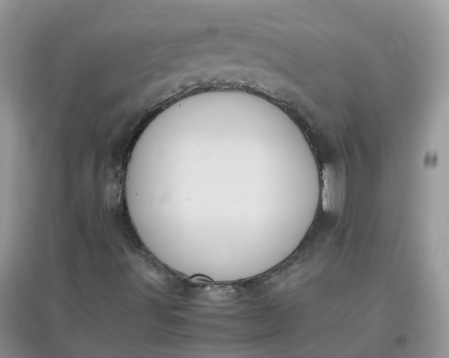 X0000097641491200803142034