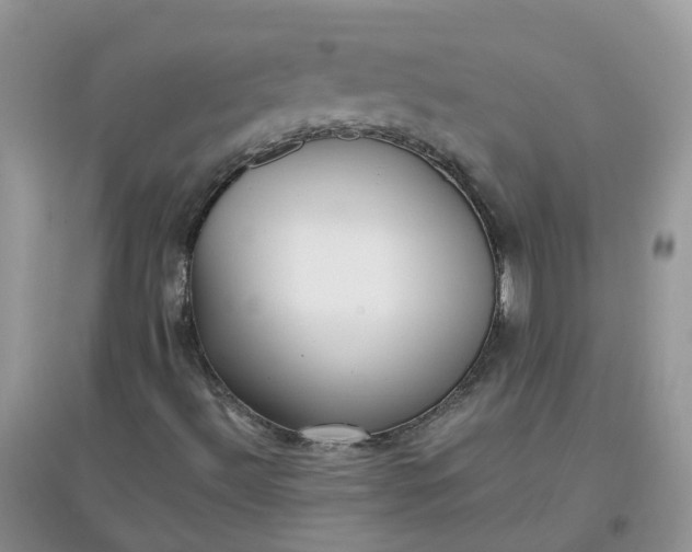 X0000097641492200803142034