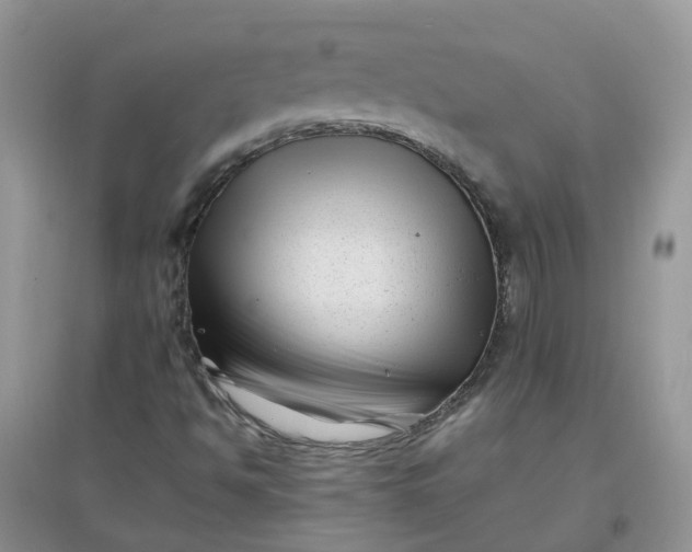 X0000097641494200803142035