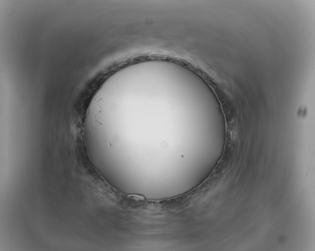 X0000097641495200803142035