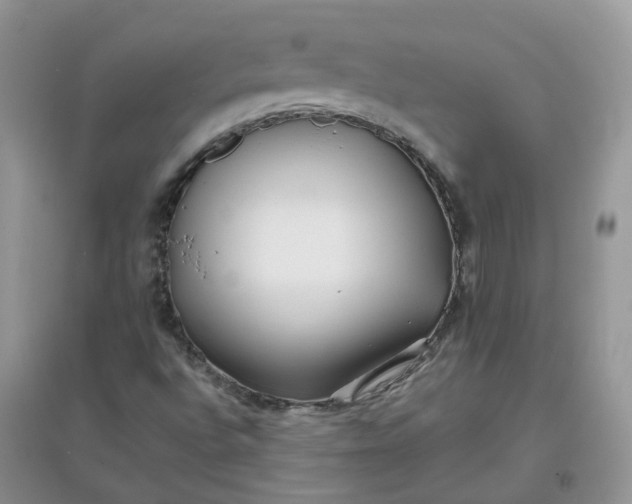 X0000097641496200803142035