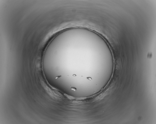 X0000097641499200803142035