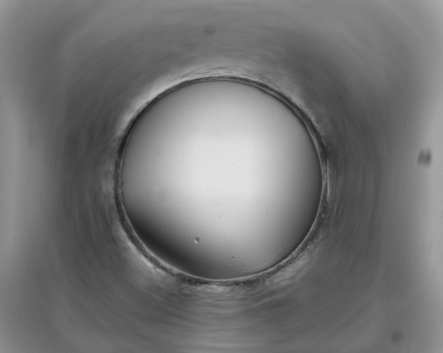 X0000097641500200803142035