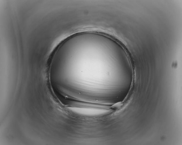 X0000097641501200803142035