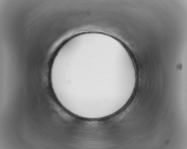 X0000097641502200803142035