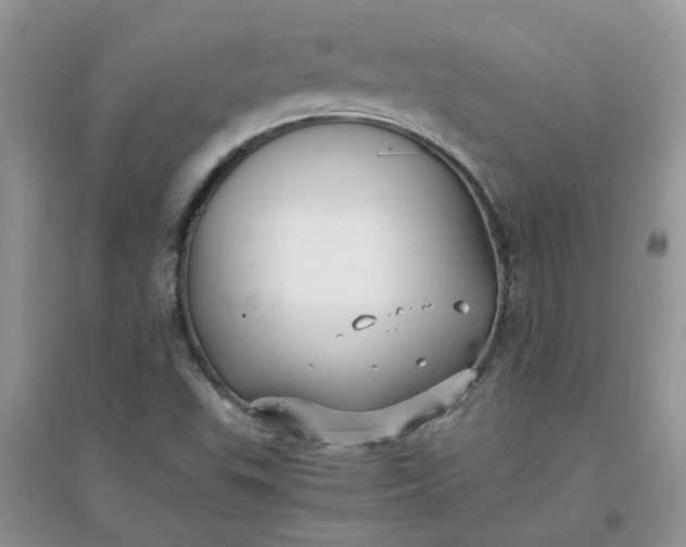 X0000097641503200803142035