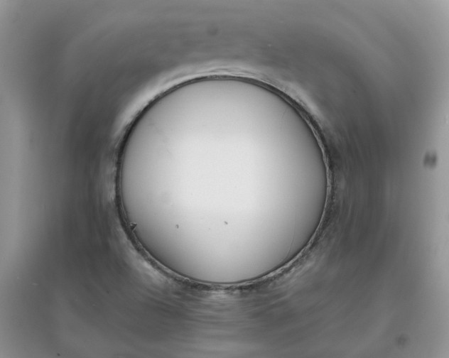 X0000097641504200803142035