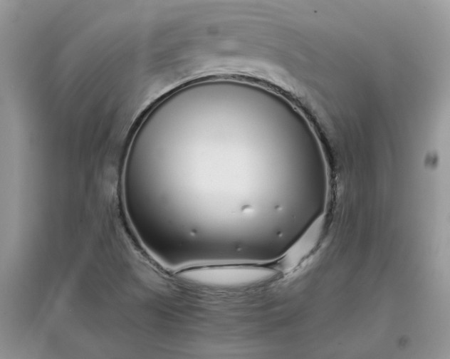 X0000097641505200803142035