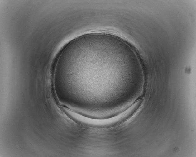 X0000097641506200803142035