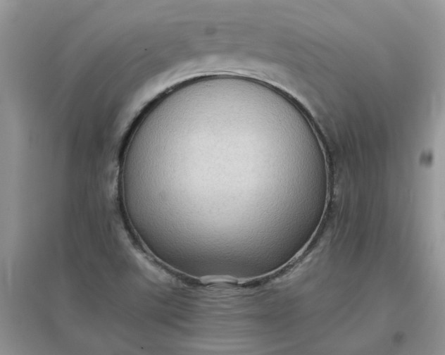 X0000097641507200803142035