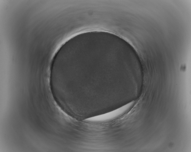 X0000097641508200803142035