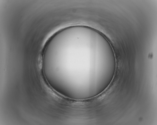 X0000097641510200803142035