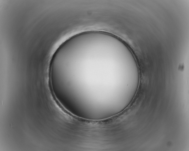 X0000097641512200803142035