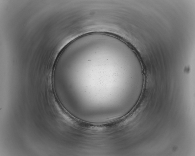 X0000097641513200803142035