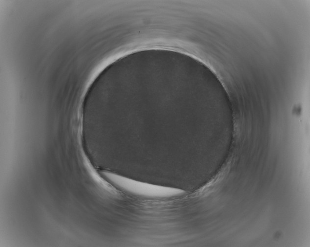 X0000097641515200803142035