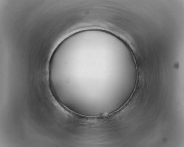 X0000097641516200803142035