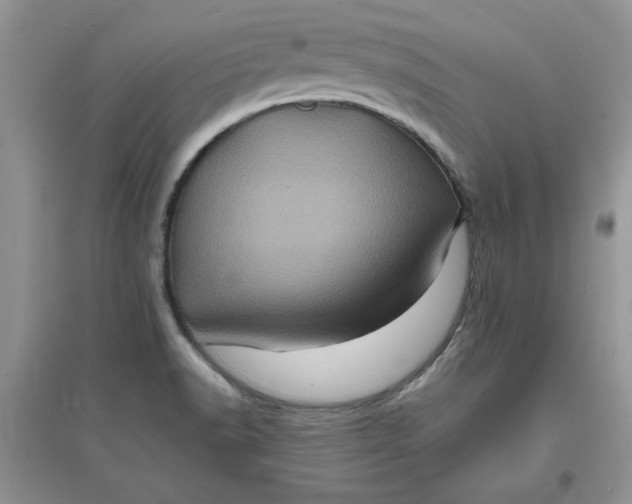 X0000097641518200803142035