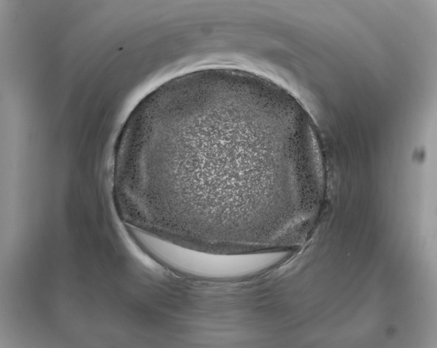 X0000097641519200803142035