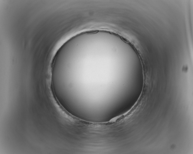 X0000097641520200803142035