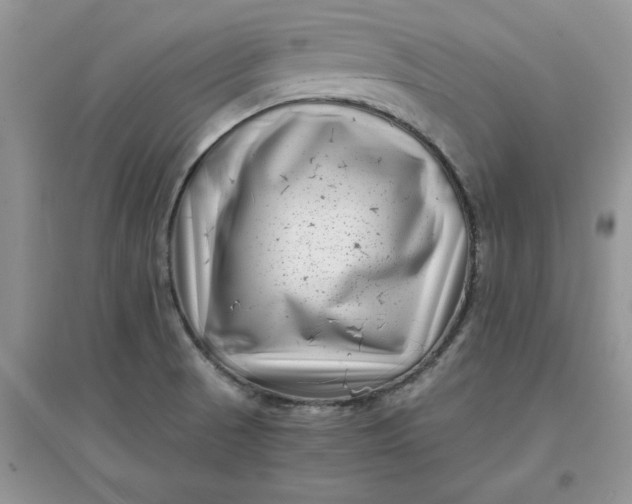 X0000097641521200803142035