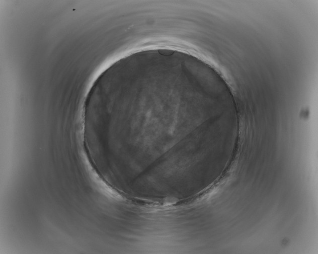 X0000097641522200803142035