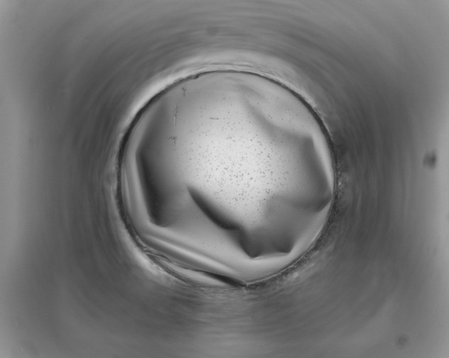 X0000097641523200803142035