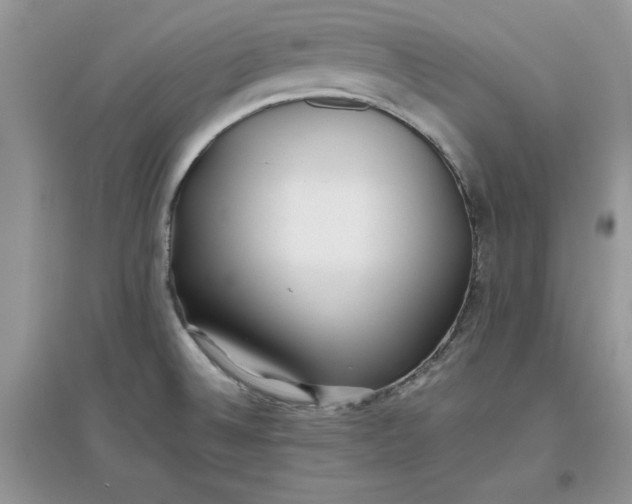 X0000097641524200803142035