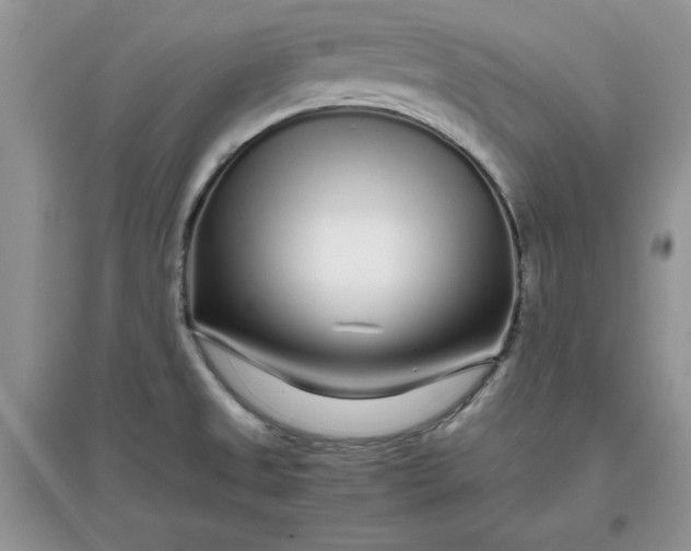 X0000097641525200803142035