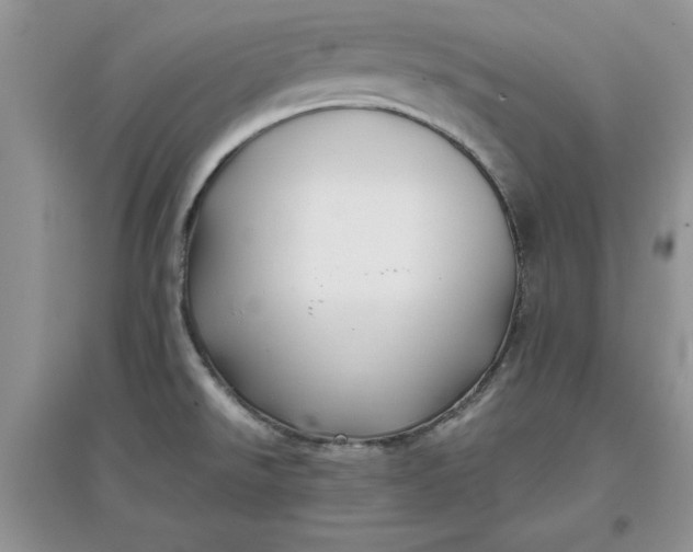 X0000097641526200803142035