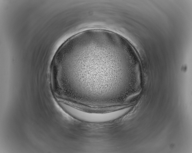 X0000097641527200803142035