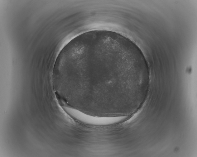 X0000097641529200803142035