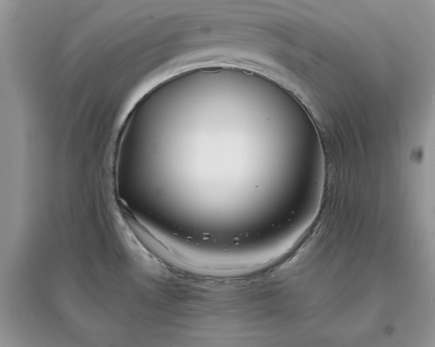 X0000097641530200803142035