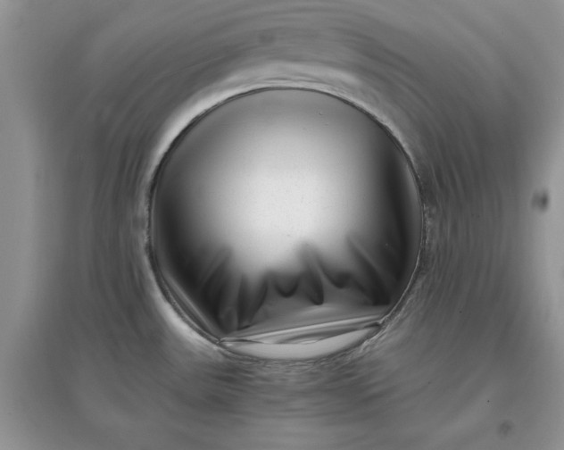 X0000097641531200803142035