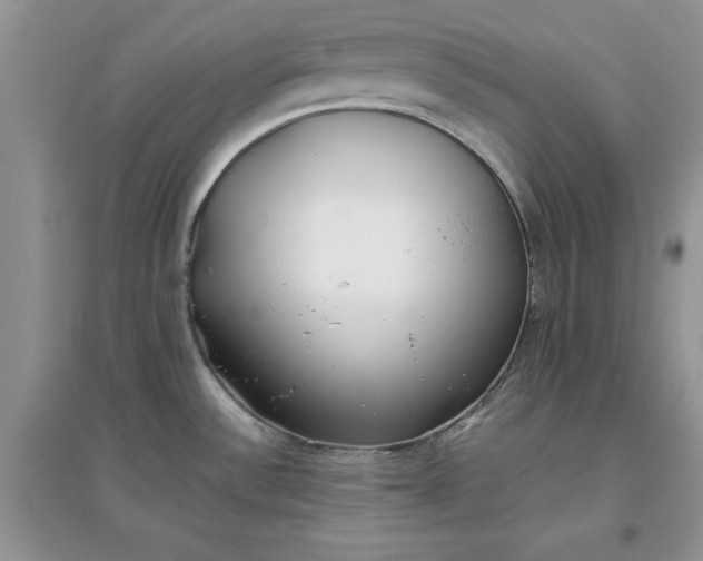 X0000097641532200803142035