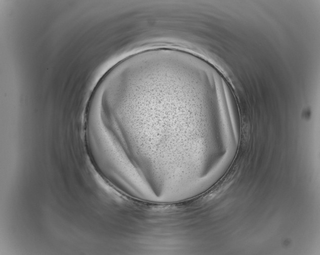 X0000097641535200803142035