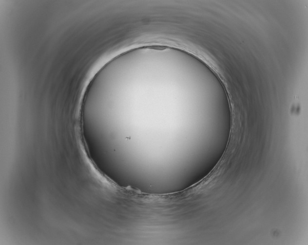 X0000097641536200803142035