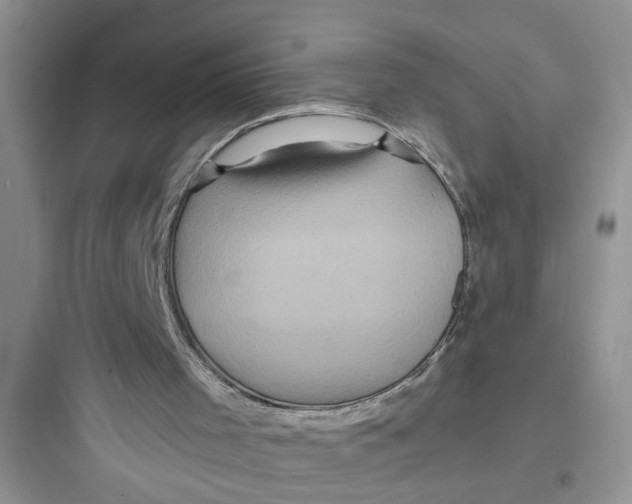 X0000097640001200803211843