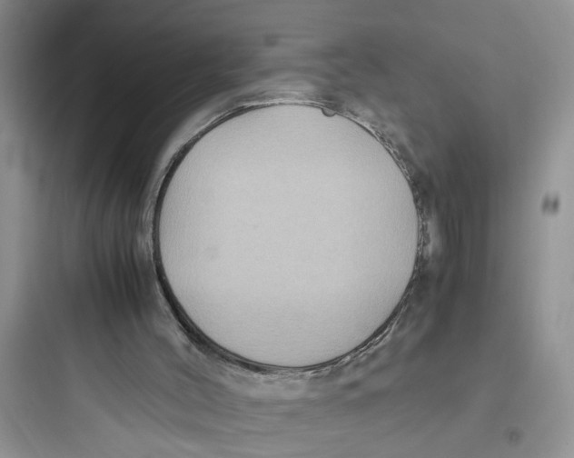 X0000097640004200803211843