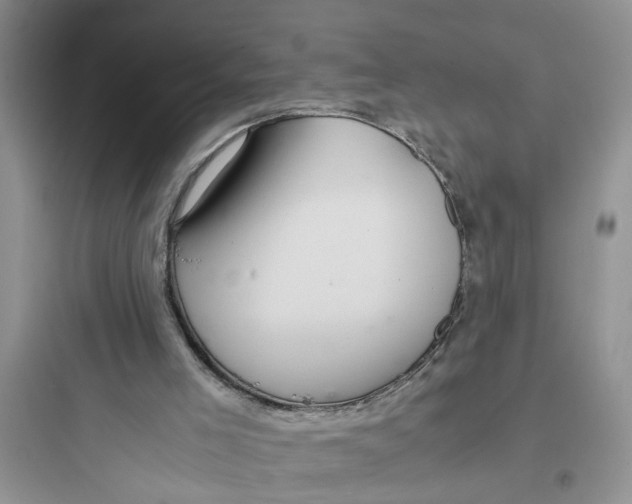 X0000097640005200803211843