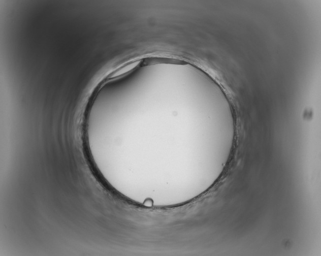 X0000097640007200803211843