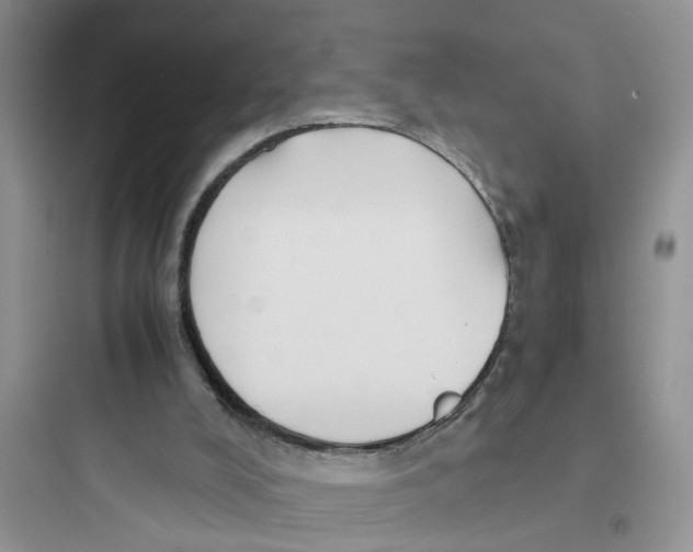 X0000097640008200803211843