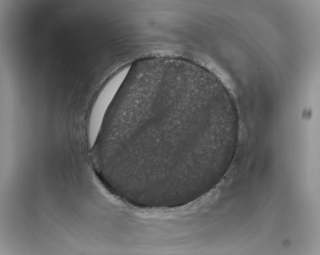 X0000097640009200803211843