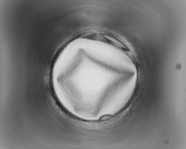 X0000097640010200803211843